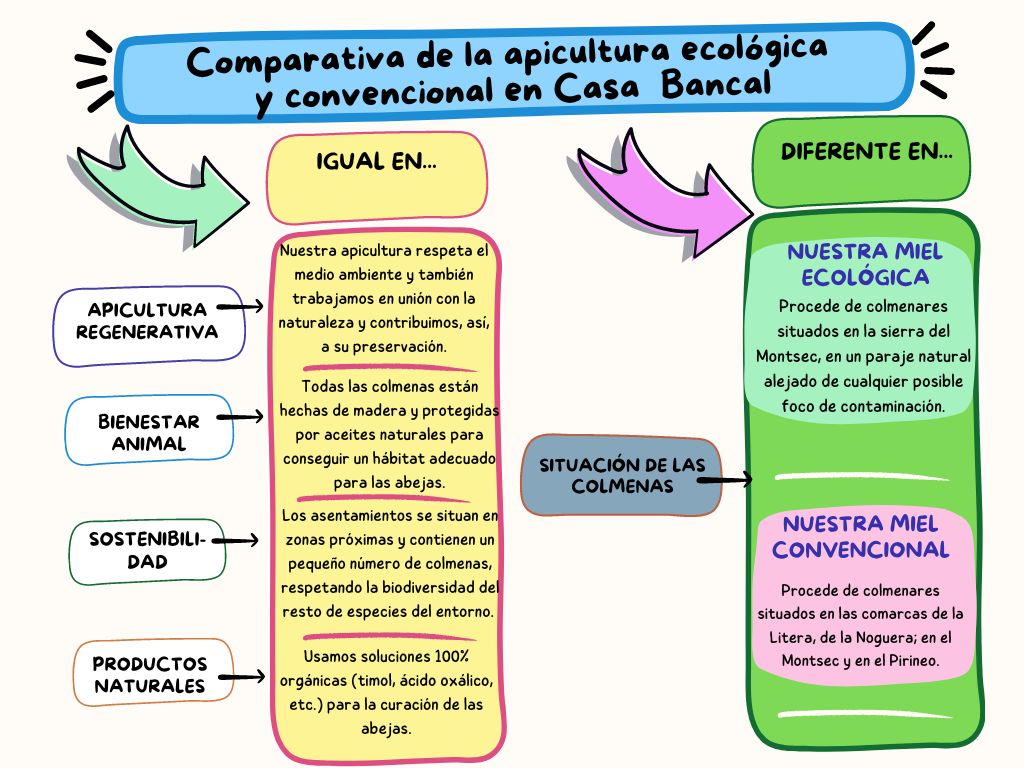 Copia_de_Grafica_Tabla_Comparativa_Creativa_Colorido.jpg